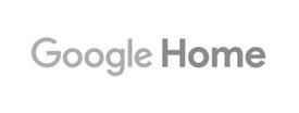 Google Home